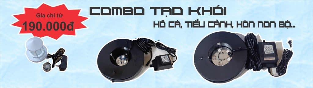 banner-veloci-vietnam-bo-tao-khoi-ho-ca