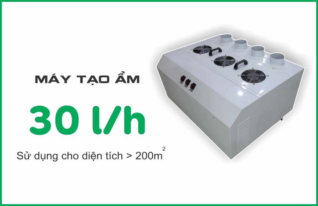 may tao am 402