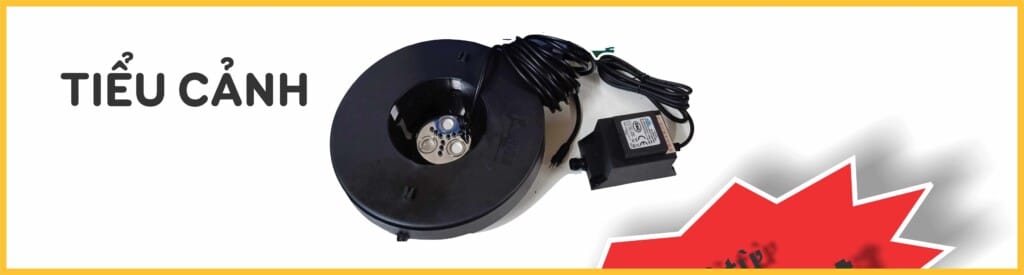 tao khoi ho ca tieu canh 02