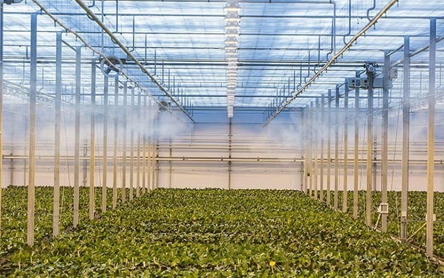 Hệ thống này cũng được dùng nhiều trong nhà kính