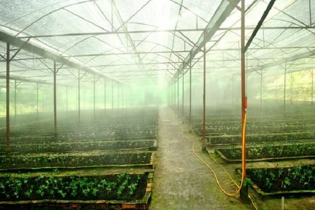 Lắp đặt đơn giản, tiện lợi