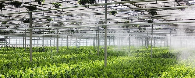 Những tiêu chí vàng khi mua máy phun sương tạo ẩm tại Lào Cai Mua máy phun sương tạo ẩm tại Lào Cai có nguồn gốc rõ ràng