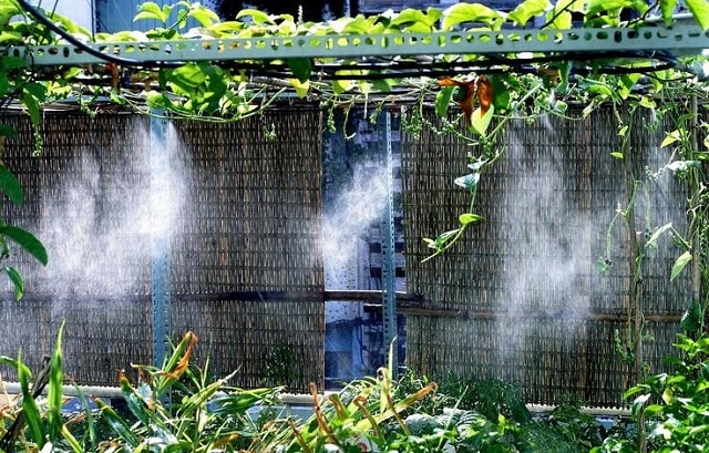 Xem xét nhu cầu sử dụng khi mua máy phun sương tạo ẩm tại Bà Rịa - Vũng Tàu 