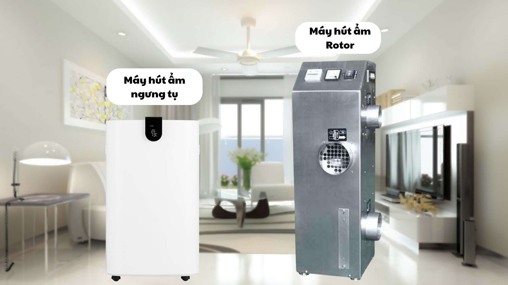 Cơ chế hoạt động máy hút ẩm