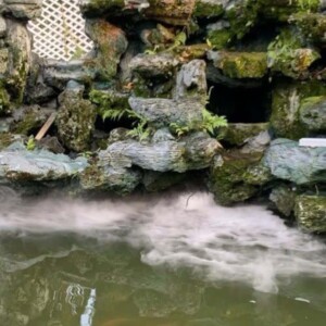 Combo tao khoi sieu am 10 mat ho ca thac nuoc tieu canh F3 NS 10T01 06