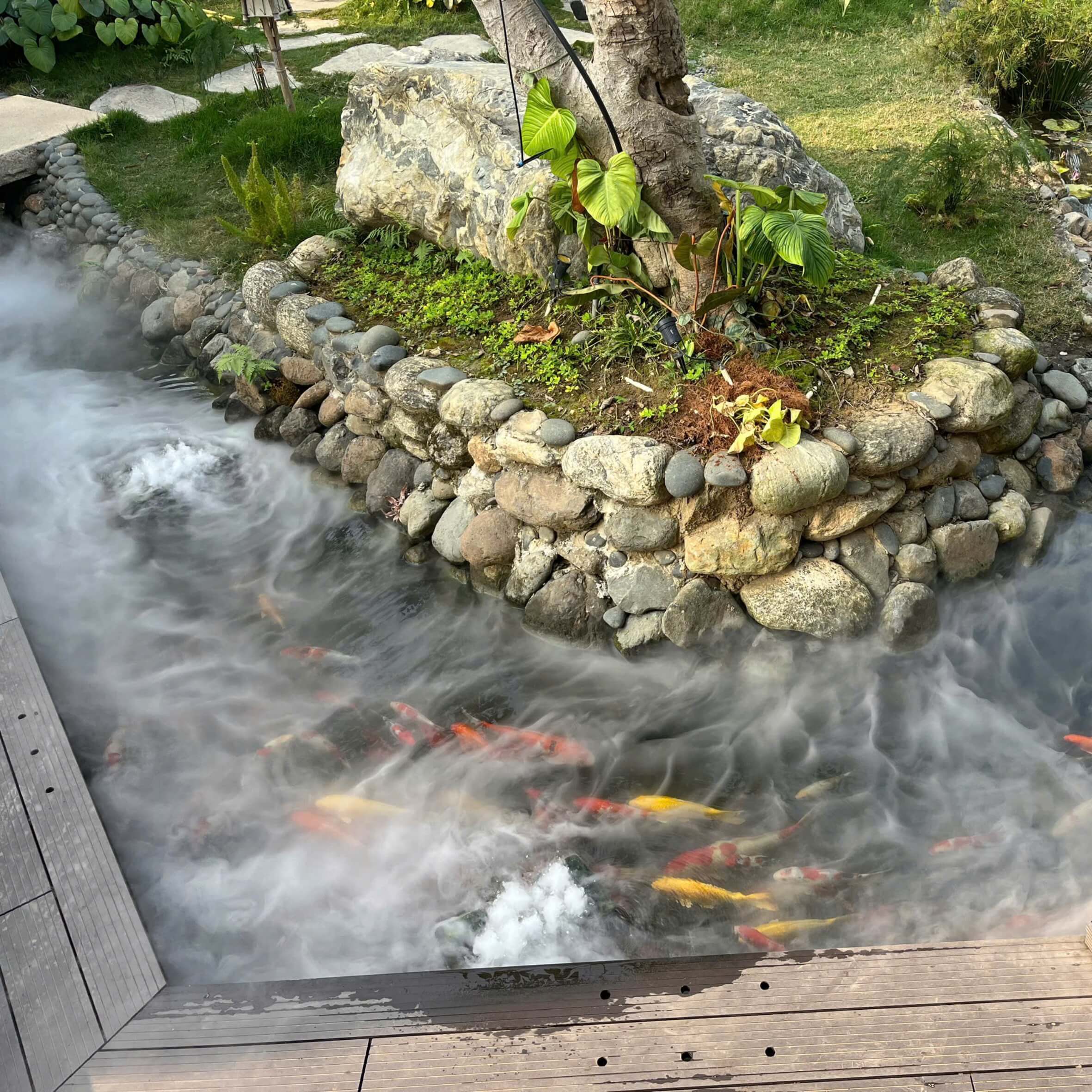 Combo tạo khói siêu âm 3 vỉ 10 mắt hồ cá, thác nước, tiểu cảnh F3-NS-10T03 Combo tao khoi sieu am 3 vi 10 mat ho ca thac nuoc tieu canh F3 NS 10T03 07